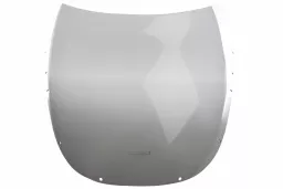 FZR 600 - Spoiler windshield "SN" -1990