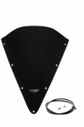 FZS 600 FAZER - Racing windscreen "RN" 2002-2003